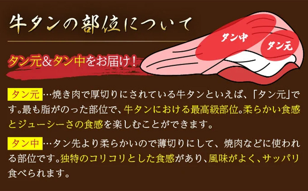 2ミリスライス塩だれ仕込み牛タン500g（250g×2パック） 【薄切り タン 牛たん たん 牛肉 肉 焼肉 焼き肉 BBQ バーベキュー キャンプ 冷凍 塩味 小分け】【07521-0144】