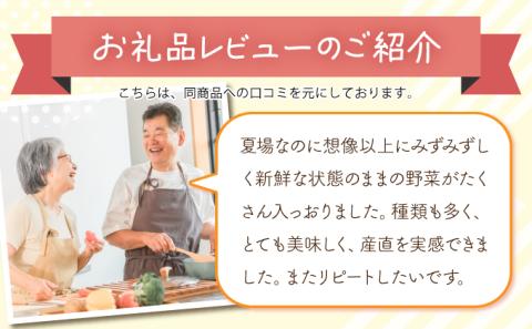 【旬の野菜】三春町産野菜の詰合せ　【07521-0007】