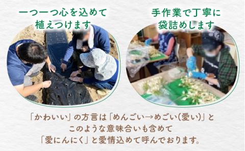 愛(めご)ニンニクスプラウト詰め合わせ　【07521-0057】