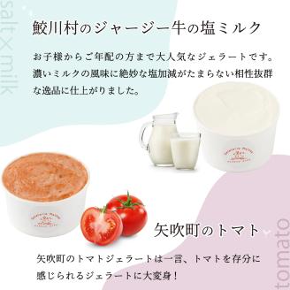 三春産クラフトジェラート詰め合わせ12個【07521-0099】