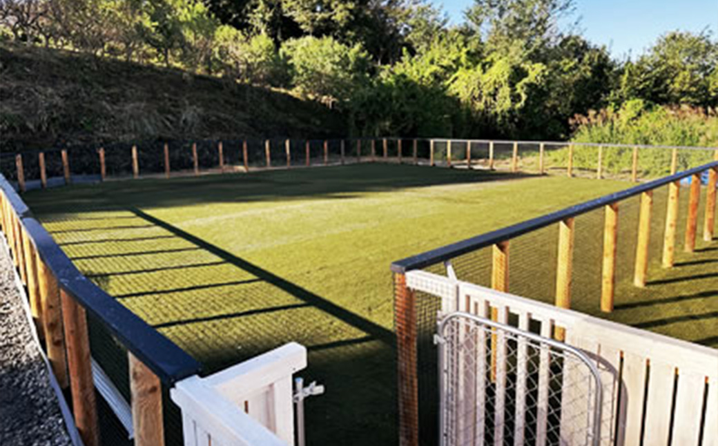 cafe nanala わんこ薬膳ごはん　B（肺・腎）セット　【07521-0137】