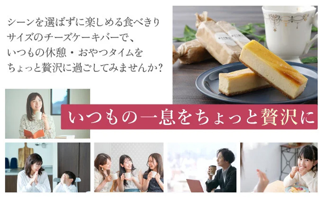 冷凍チーズケーキバー10本セット(プレーン5本・ブルーベリー5本） 【チーズケーキ チーズ ケーキ 冷凍 お菓子 スイーツ デザート チーズ ブルーベリー 誕生日 記念日 お祝い ギフト プレゼント 贈り物 贈答 ご褒美】【07521-0155】