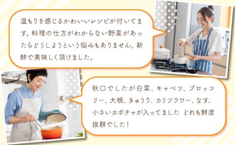 【旬の野菜】三春町産野菜の詰合せ　【07521-0007】
