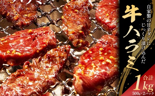自家製甘辛ダレ牛ハラミ　1kg（500g×2パック）　【07521-0138】
