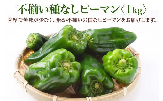 【先行予約】不揃い種なしピーマン（ＳＳサイズ）1kg【2026年7月発送】　【07521-0139】