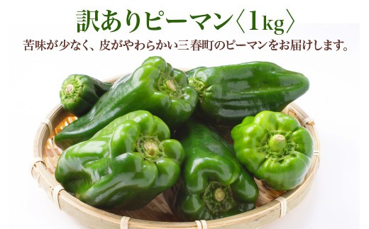 【先行予約】訳ありピーマン　1kg【2026年7月発送】　【07521-0140】