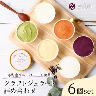 三春町産クラフトジェラート詰め合わせ6個【07521-0098】