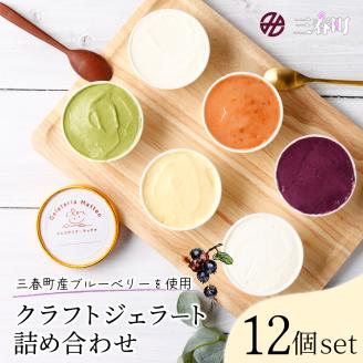 三春産クラフトジェラート詰め合わせ12個【07521-0099】
