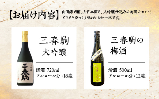 大吟醸の共演セット（三春駒 大吟醸 720ml・三春駒の梅酒 500ml） 【地酒 さけ 日本酒 大吟醸 清酒 アルコール リキュール 梅酒 白加賀梅 瓶 お中元 父の日 ギフト プレゼント 贈り物 贈答 お祝い ご自宅用】【07521-0199】