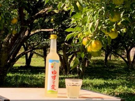 ゆず酒 ならはのゆず里愛  柚子 果実酒 500ml 2本セット