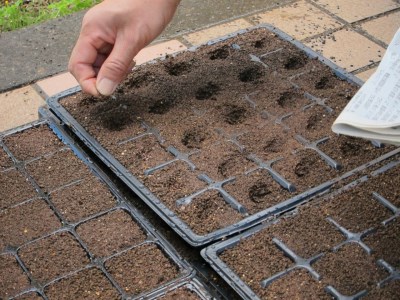 【数量限定】藍染めストール（絹）～乾燥葉染め～ ならは藍染め会【ストール 藍染め 乾燥葉染め 絹 シルク ギフト 贈り物 プレゼント ギフト対象品 藍 手作り 手染め ハンドメイド 鮮やか 福島 楢葉 ファッション 母の日 父の日 敬老の日 お祝い ギフト プレゼント 】