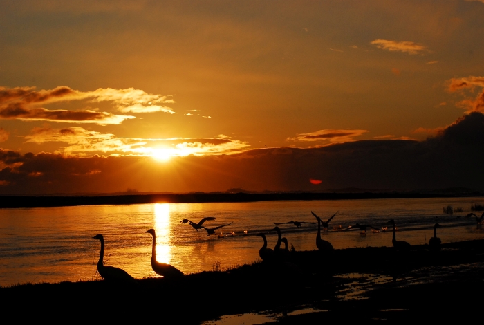 【返礼品なしの寄附】福島県楢葉町150,000円 ［福島県 福島 楢葉町 寄附 おうえん 応援 しえん 支援 応援寄付金 寄付のみ 返礼品なし 返礼品なしの寄付 150000円］