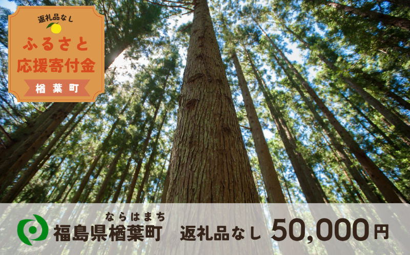【返礼品なしの寄附】福島県楢葉町50,000円 ［福島県 福島 楢葉町 寄附 おうえん 応援 しえん 支援 応援寄付金 寄付のみ 返礼品なし 返礼品なしの寄付 50000円］