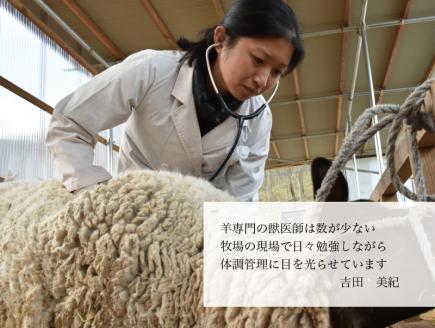 幻の国産サフォーク種ジンギスカン肉１㎏　羊肉　フォゲット（ホゲット）肉　液体急速冷凍　【大好評につき最大9か月待ち】