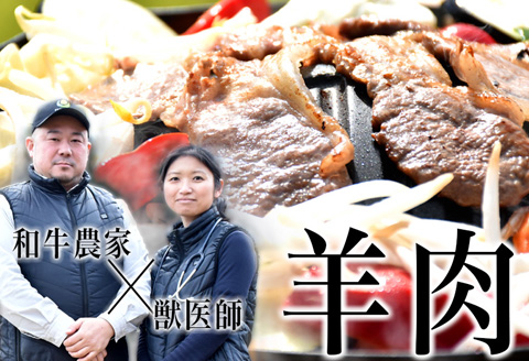 幻の国産サフォーク種ジンギスカン肉５００ｇ　羊肉　フォゲット（ホゲット）肉　液体急速冷凍　【大好評につき最大9か月待ち】