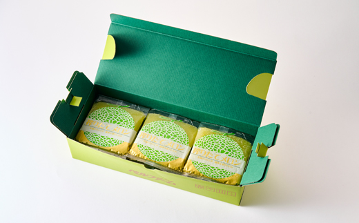 ベルファームの冷凍メロンジュース 茨城県産メロン100% 100g×15袋 【離島・沖縄配送不可】【配送不可地域：離島・沖縄県】