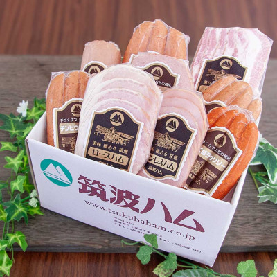 筑波ハム ハム・ベーコン・ソーセージ バラエティ9品 茨城県産 常陸の輝き ブランド豚 銘柄豚【配送不可地域：離島・沖縄県】