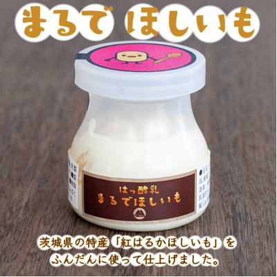 まるでほしいも計12個 (ほしいもクン特製化粧箱入り3個×4箱)【配送不可地域：離島・沖縄県】