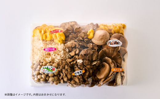 きのこの詰め合わせ　M(約1500g)【配送不可地域：離島・沖縄県】