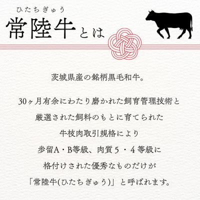 常陸牛サーロインステーキ 約500g(250g×2枚)【配送不可地域：離島・沖縄県】