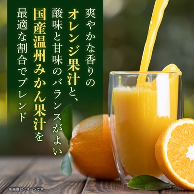 えひめ飲料　ポンジュース1L×6本【配送不可地域：離島・沖縄県】