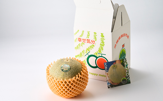 【先行受付】令和8年4月順次発送 茨城県鉾田市 山一ファーム クインシーメロン 大玉4L～5L・1玉【配送不可地域：離島・沖縄県】