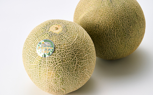 【先行受付】令和8年4月順次発送 茨城県鉾田市 山一ファーム クインシーメロン 大玉4L～5L・2玉【配送不可地域：離島・沖縄県】