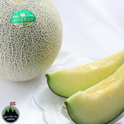 【先行受付】令和8年5月順次発送 茨城県オリジナル品種!! イバラキング 4L～5L・1玉 数量限定【配送不可地域：離島・沖縄県】