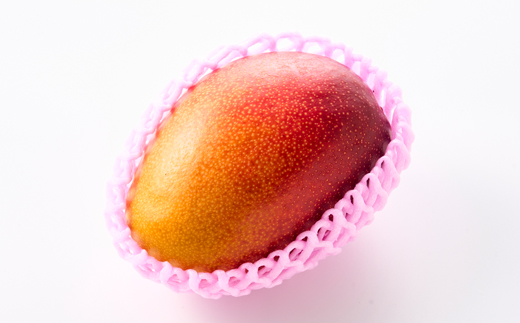 茨城県産 なめがたプリンセスマンゴー5L【600g以上】1個【配送不可地域：離島・沖縄県】