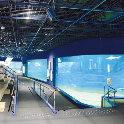 アクアワールド茨城県大洗水族館　貸切3時間プラン(イルカ・アシカオーシャンライブ付)【配送不可地域：離島・沖縄県】