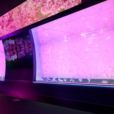 アクアワールド茨城県大洗水族館　年間パスポート(大人1名分)【配送不可地域：離島・沖縄県】