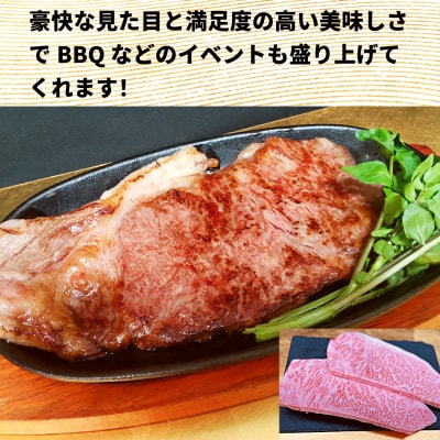 【常陸牛】A5等級 サーロインブロック 10kg【配送不可地域：離島・沖縄県】