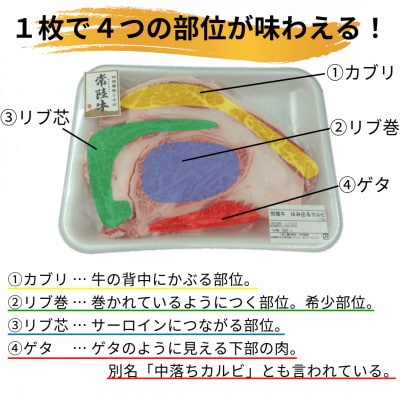 【常陸牛】ハミデルカルビ 500g(3～5枚)【配送不可地域：離島・沖縄県】