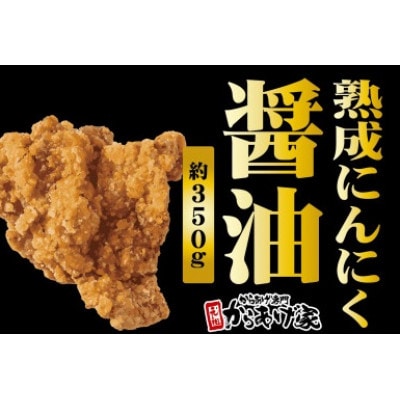 特製 からあげ食べ比べセット(熟成醤油・出汁塩)計700g【配送不可地域：離島・沖縄県】