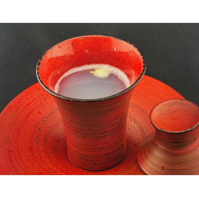 器而庵　アミューズカップ　根来【配送不可地域：離島・沖縄県】