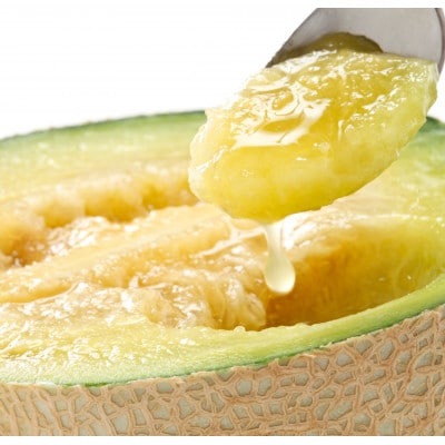 【令和5年 品質優良賞受賞】果汁たっぷり春メロン 茨城県産アンデスメロン【特秀】 5玉【配送不可地域：離島・沖縄県】