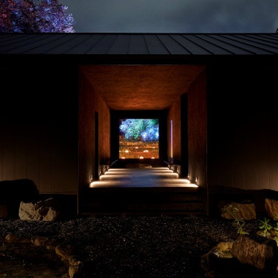 「チームラボ 幽谷隠田跡」鑑賞・温泉付きセット券【大人(高校生以上)1名分】【配送不可地域：離島・沖縄県】