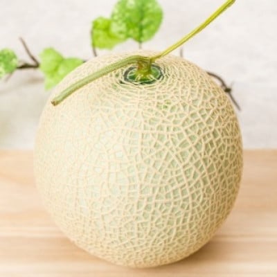 【令和5年品質優良賞受賞】茨城県産 アールスメロン【特秀】2玉【配送不可地域：離島・沖縄県】