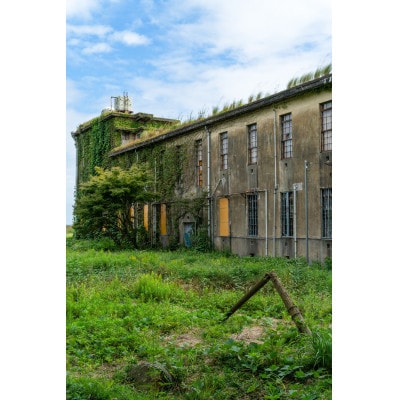 アカデミー賞受賞作品のロケ地!旧鹿島海軍航空隊跡地貸し切りプラン(約3時間)【配送不可地域：離島・沖縄県】