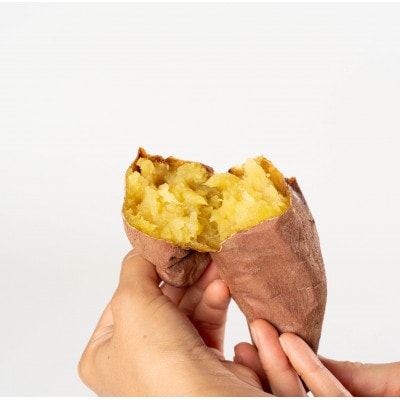 ねっとり甘い熟成蜜芋3点セット(焼き芋×2パック、スイートポテト×3個、大学芋)【配送不可地域：離島・沖縄県】