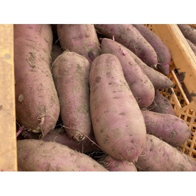 【12月順次発送予定】山一ファーム 熟成さつまいも5kg 食べ比べセットA 紅はるかとシルクスイート【配送不可地域：離島・沖縄県】