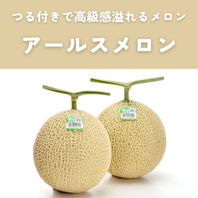 糖度13度以上!茨城県産 アールスメロン 2玉入り【先行受付　2026年9月上旬以降順次発送】【配送不可地域：離島・北海道・沖縄県・中国・四国・九州】