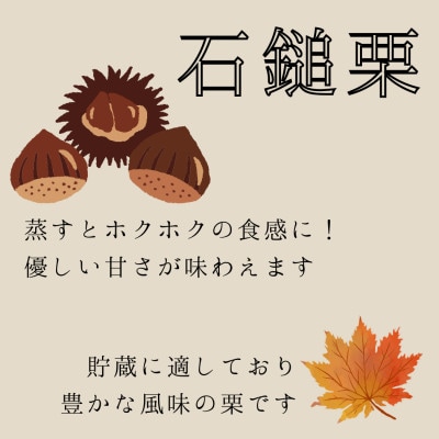 栗ご飯にぴったり!茨城県産 貯蔵 石鎚栗 約2kg(約1kg×2袋)【配送不可地域：離島・沖縄県】