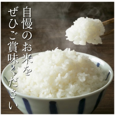 令和7年産　茨城県産コシヒカリ　精米　計5kg【配送不可地域：離島・沖縄県】