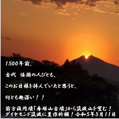 筑波山麓産米を中心に厳選した【茨城県産こしひかり】白米5kg 令和7年産【配送不可地域：離島・沖縄県】