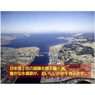 筑波山麓産米を中心に厳選した【茨城県産こしひかり】白米15kg 令和7年産【配送不可地域：離島・沖縄県】