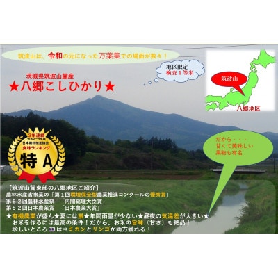 【玄米20kg】筑波山麓厳選★検査1等米こしひかり【恋瀬姫の舞】令和7年産【配送不可地域：離島・沖縄県】