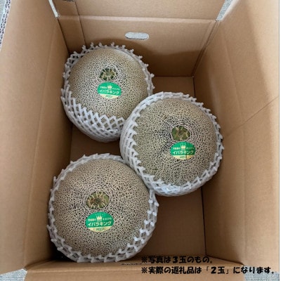 茨城県産メロン 茨城県オリジナル品種 イバラキング 2玉(3L)2026年5月下旬順次発送予定【配送不可地域：離島・沖縄県】