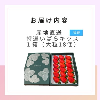 茨城県産いちご 茨城県オリジナル品種 【特選いばらキッス】計18粒(1箱)大粒・厳選　濱野いちご園【配送不可地域：離島・北海道・沖縄県・中国・四国・九州】