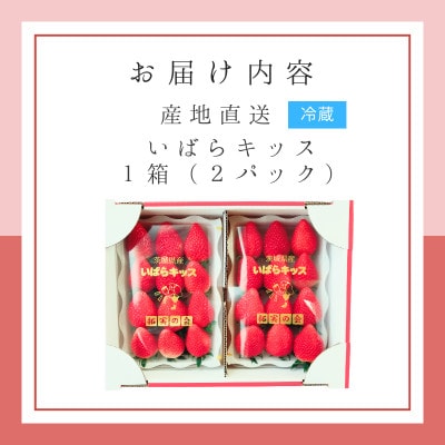 特別栽培農産物 いばらキッス 2パック 茨城県オリジナルブランドいちご【拓実の会(濱野いちご園)】【配送不可地域：離島・沖縄県】